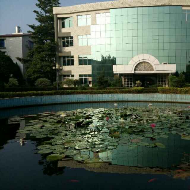 陈小文