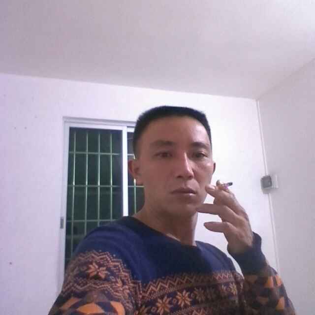 光头强