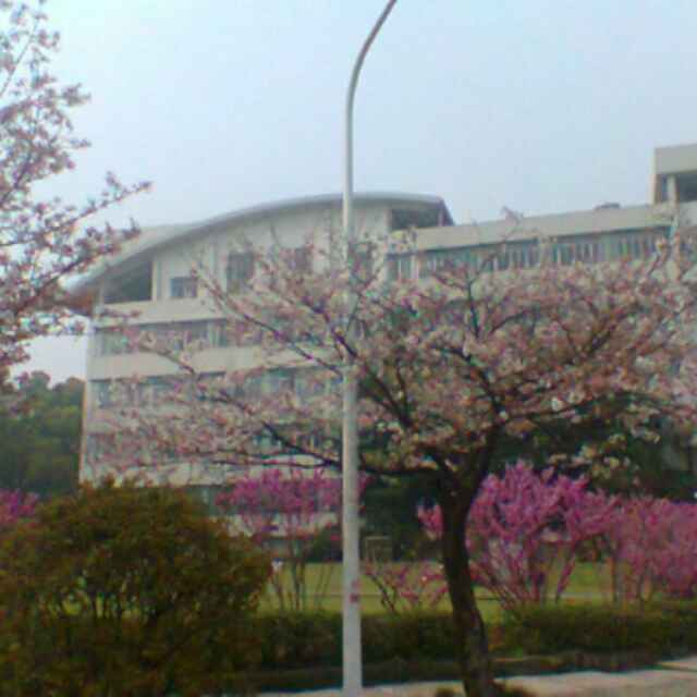 郭庆恒