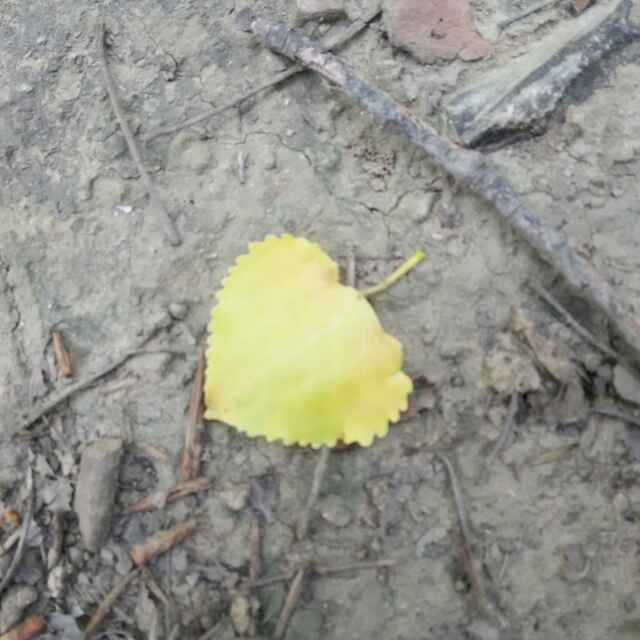 岁月静好