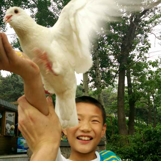 马德志
