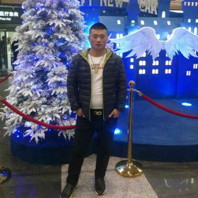出售杨木板芯