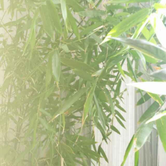 心诚则灵