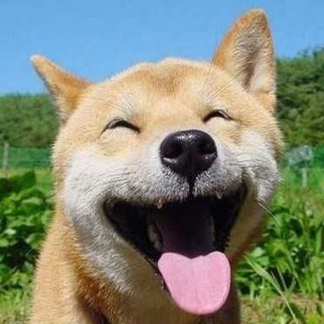 Ke Qi