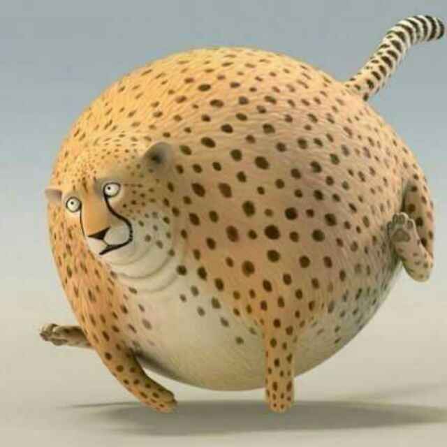 木萧萧下