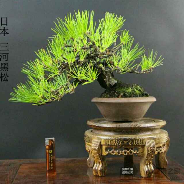 仁者无敌