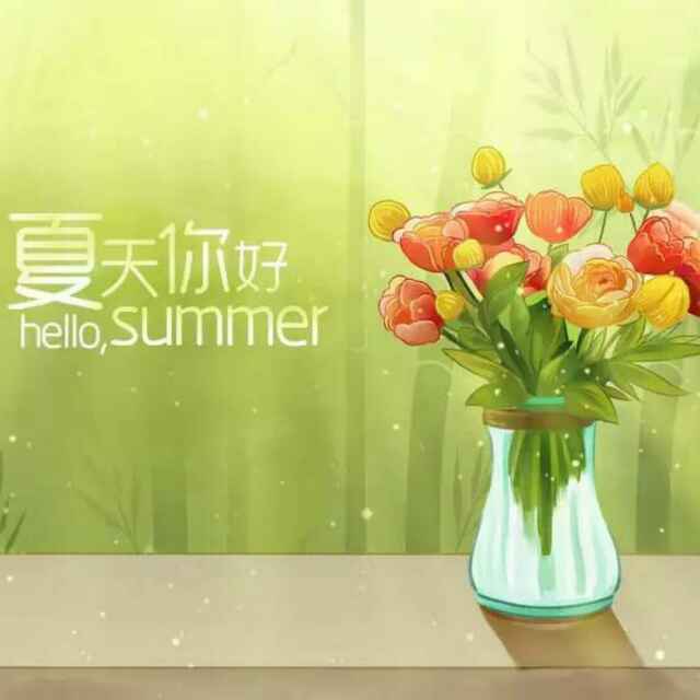 鸿宇