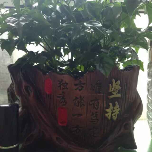 坚持