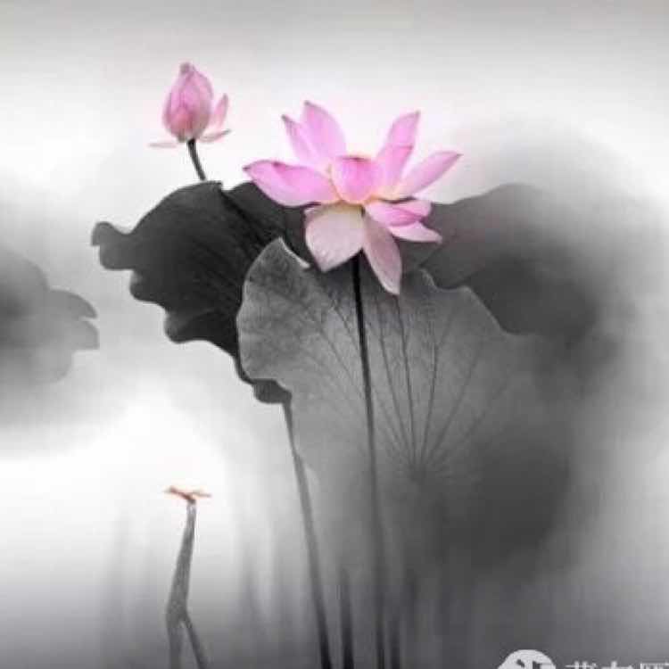 农民