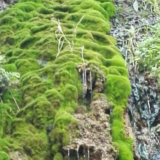 钧花缘