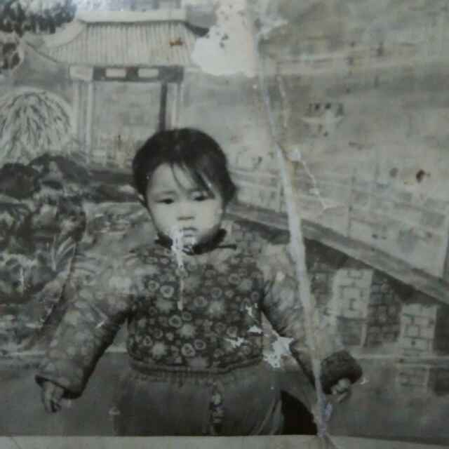 赵建新