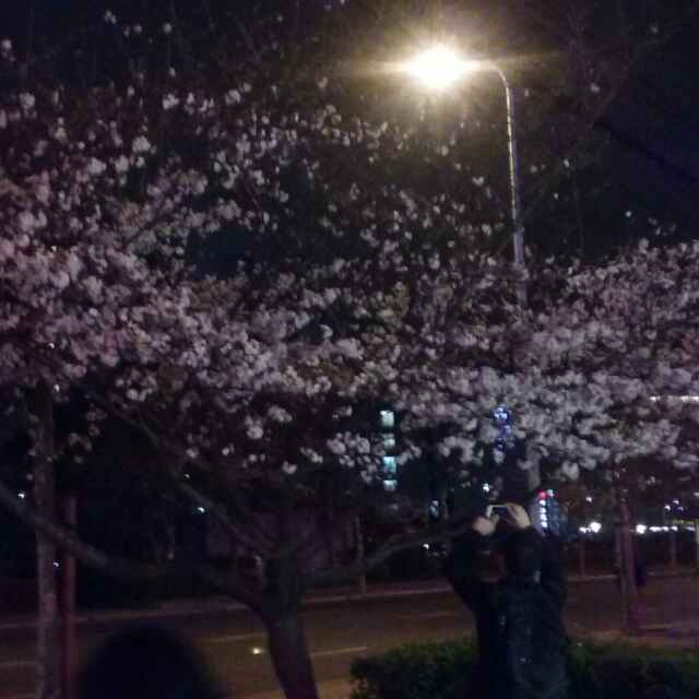 采购经理