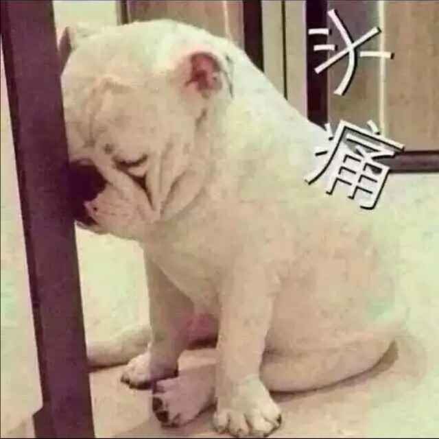 莫先生