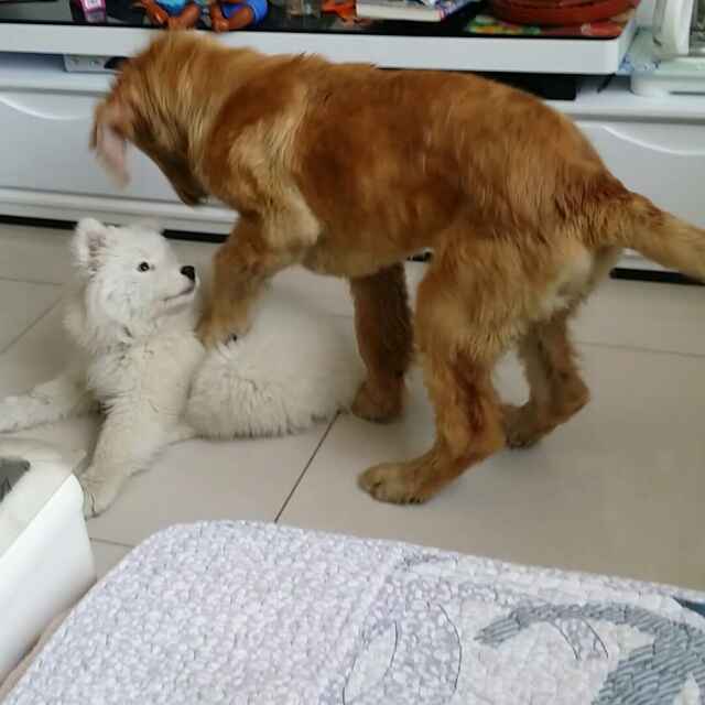 索