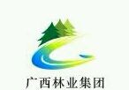 广西林业集团桂谷实业有限公司