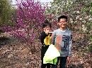 qq869769186