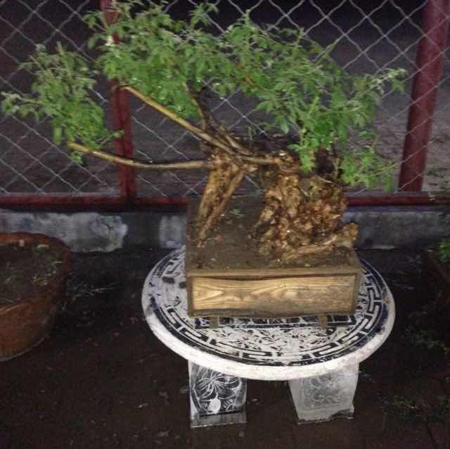四季