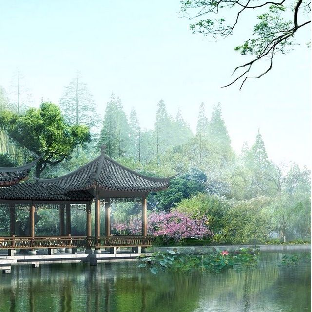 楠楠