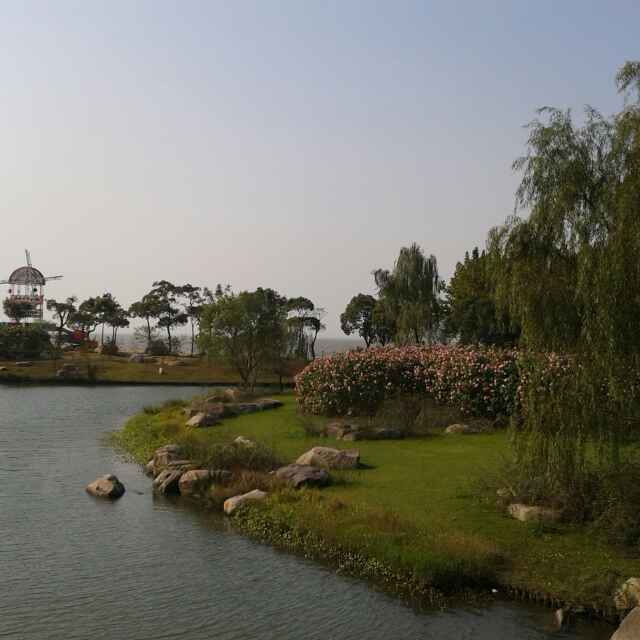绿树成荫