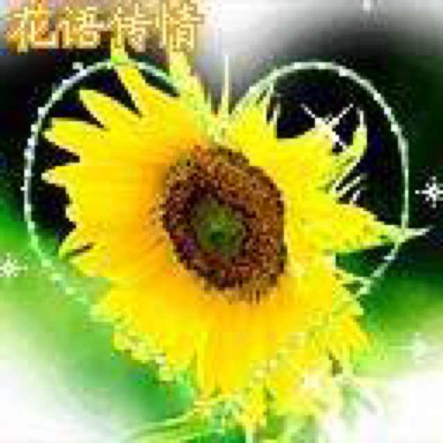 天空是我家