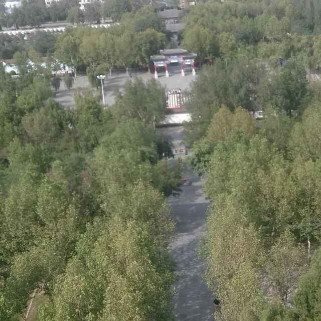 石上清泉