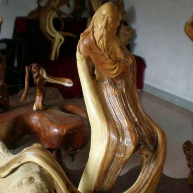 家门口的石榴树