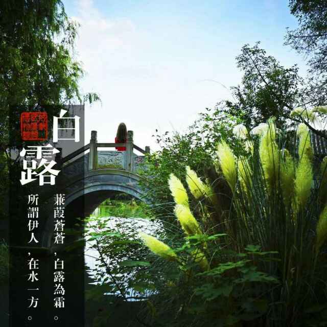 哥是个传说