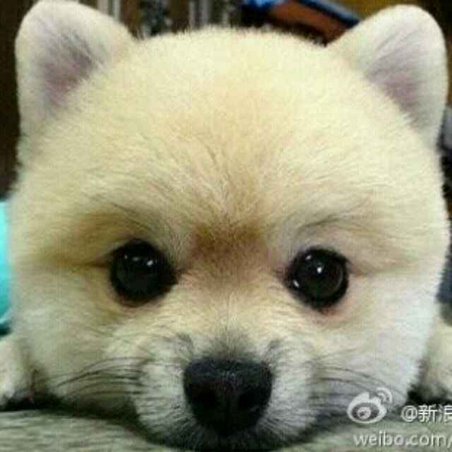人在旅途