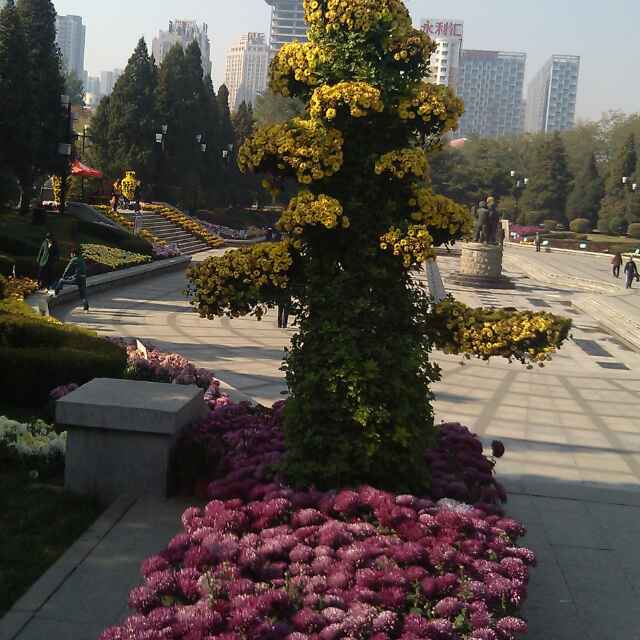 成功不是直线