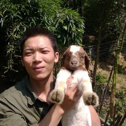 老中医