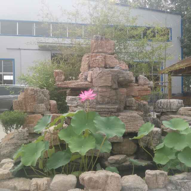 AAA景观园林138536767