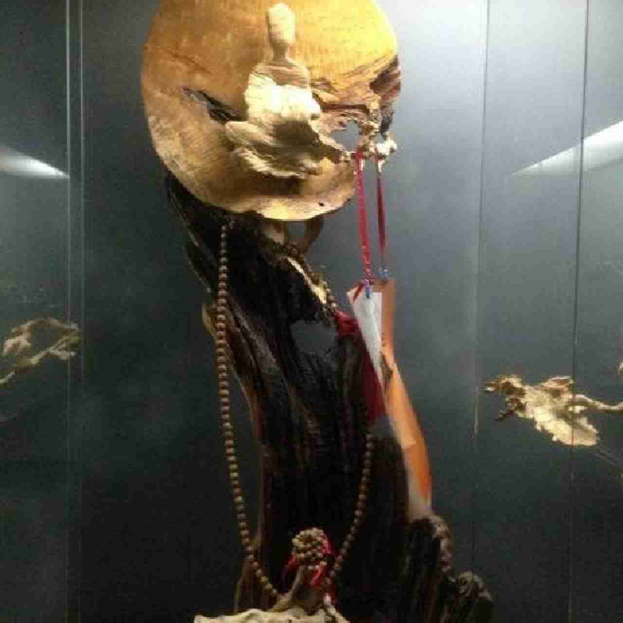 天邑吉品  1379937877