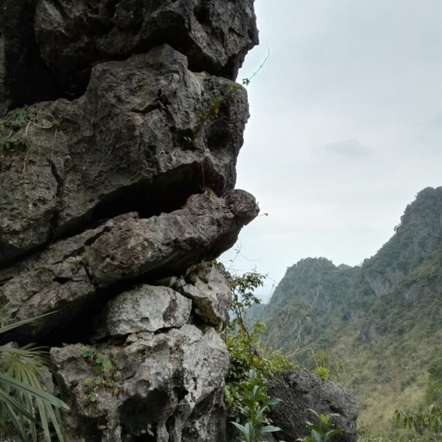 牛哥哥