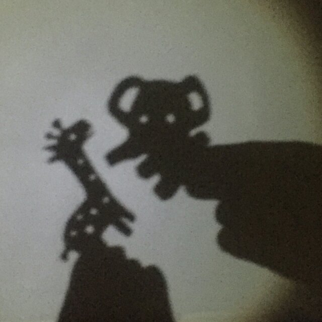 二手玫瑰