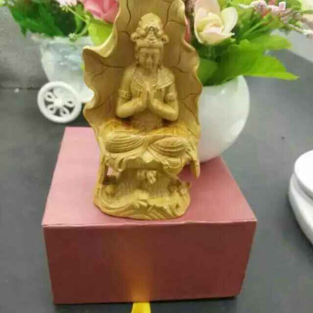 一花一世界