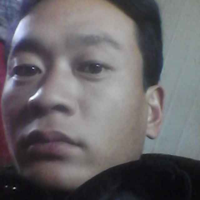 三林木业