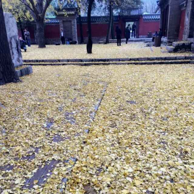 执着