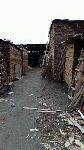 风吹来的风