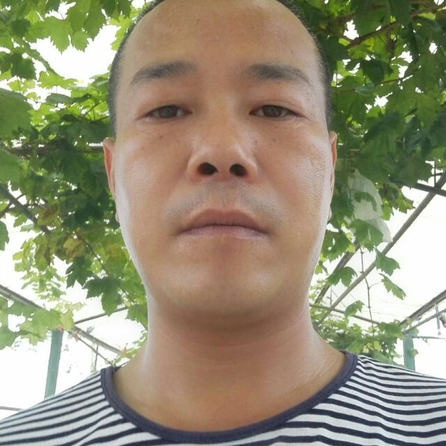 金鼎酒店老吴