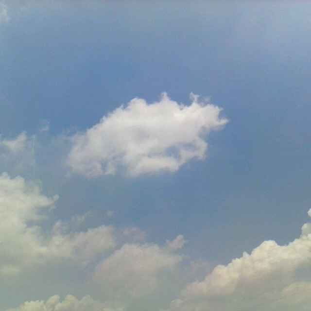 坚