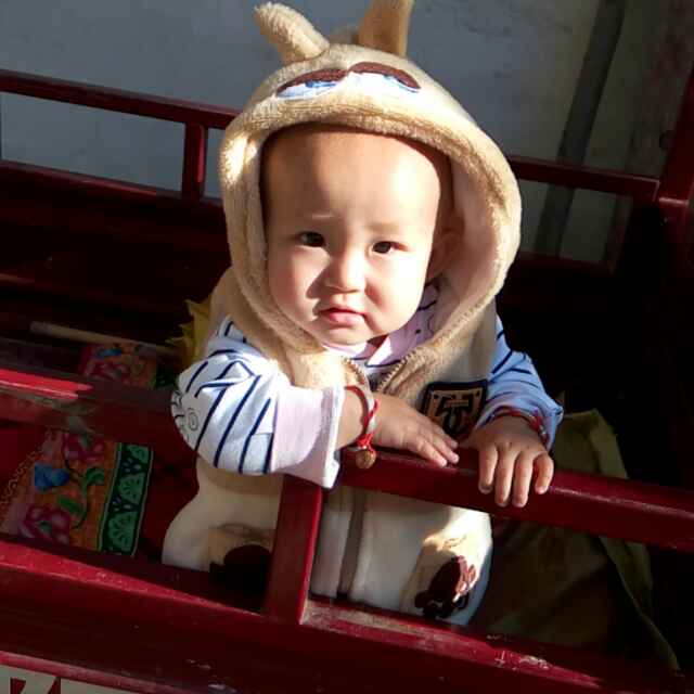 狐狸未成精、纯属骚的轻