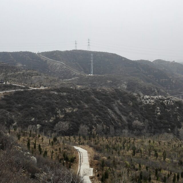 李建军