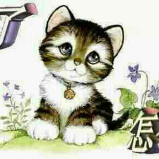 奔跑吧亲个蛋