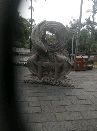 jinying