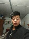 杨木专业户