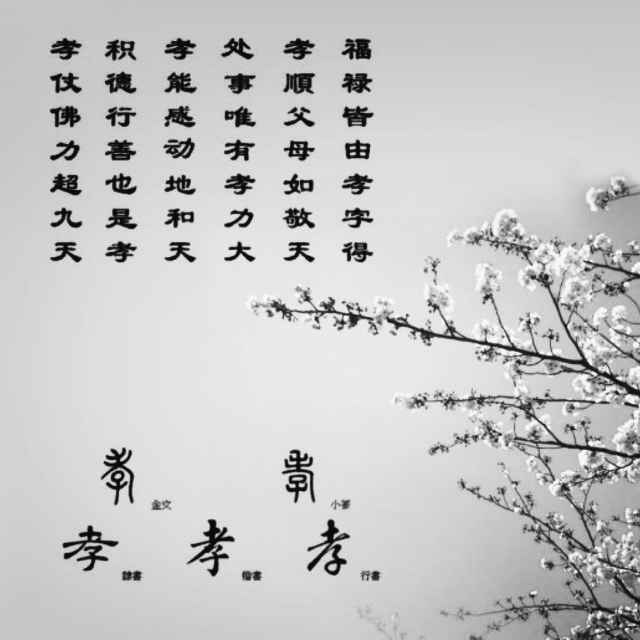 张少凯