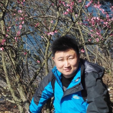 玫瑰骑士