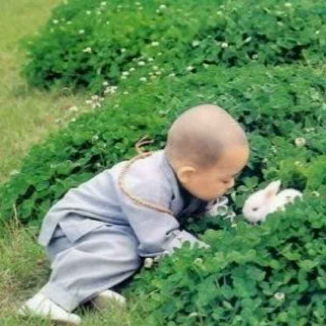 追梦