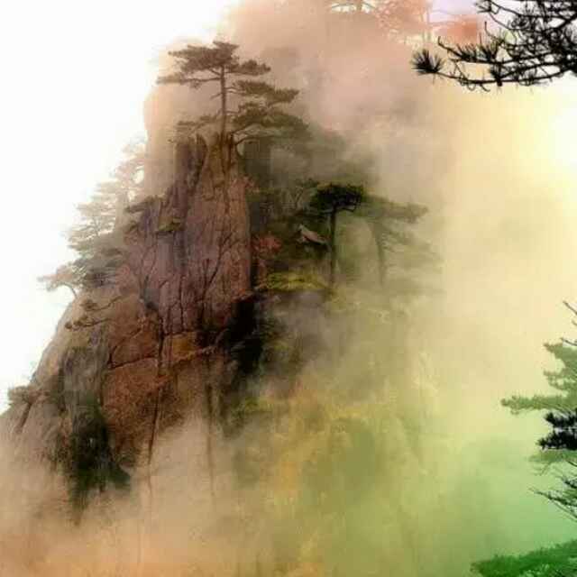 王洪林