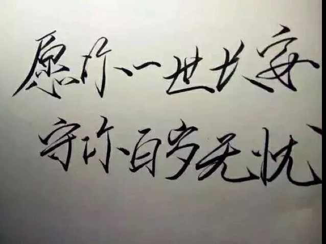 《 活该快乐 》